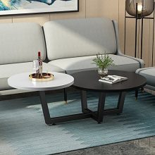 Modern Double Coffee Table, LITTLE TREE 2 Tiered Round Sofa Table & Simple End Table
