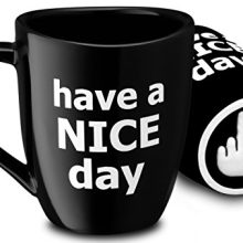 Decodyne Have a Nice Day Coffee Mug, Funny Cup with Middle Finger on the Bottom 14 oz. (Black)