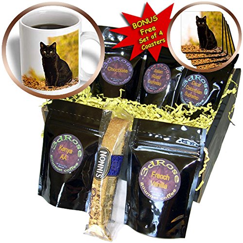 3dRose Black Cat Coffee Gift Basket, Multi