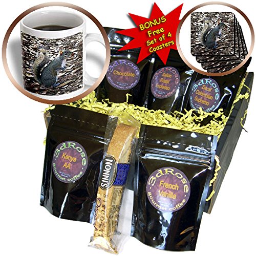 3dRose Gray Squirrel Coffee Gift Basket, Multi