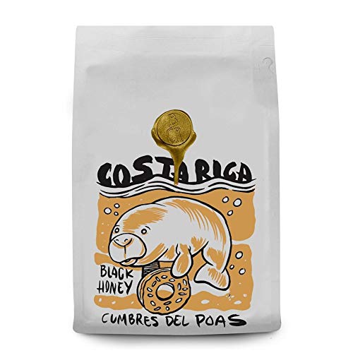 Brandywine Coffee Roasters"Black Honey-Costa Rica Cumbres Del Poas" Medium Roasted Whole Bean Coffee - 12 Ounce Bag