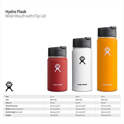 Hydro Flask 12 Oz Double Wall Vacuum Insulated Stainless Steel Water Bottle/Travel  Coffee Mug Offer 
