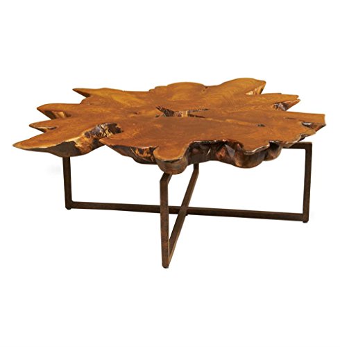 Rustic Lodge Teak Root Iron Abstract Coffee Table