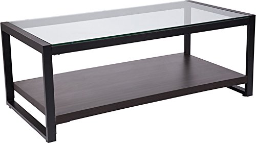 StarSun Depot Rosedale Glass Coffee Table with Black Metal Frame