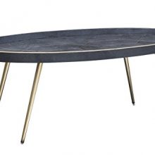 Nuevo Living Magnus Coffee Table in Black Shagreen and Matte Brass Base