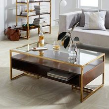 Steel Brass-Plated Walnut Glass Top Retro Coffee Table