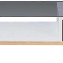 HOMES: Inside + Out Regols Rego Modern Coffee Table, Espresso