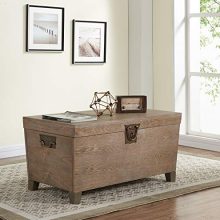 Southern Enterprises Pyramid Trunk Coffee Table, Brown