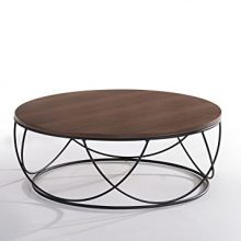Limari Home Jocelyn Coffee Table, Brown