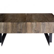 Moe's Home Collection Tiburon Coffee Table, Natural