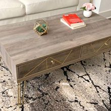 Forest Series Modern Coffee Table with Golden Legs and Artistic Carving (Grey Wash)