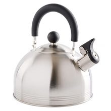 Mr. Coffee Carterton Stainless Steel Whistling Tea Kettle