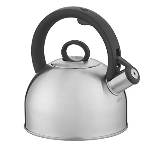 Silver Stainless Steel Stovetop Tea Kettle