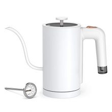 Electric Kettle Gooseneck with Thermometer