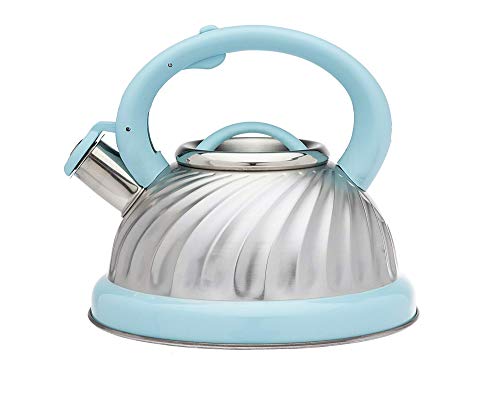 Tea Kettle Stainless Steel Whistling Teapot