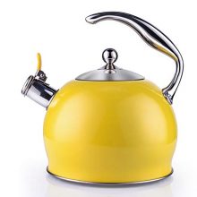 Sotya Tea Kettle Best 3 Liter induction Modern