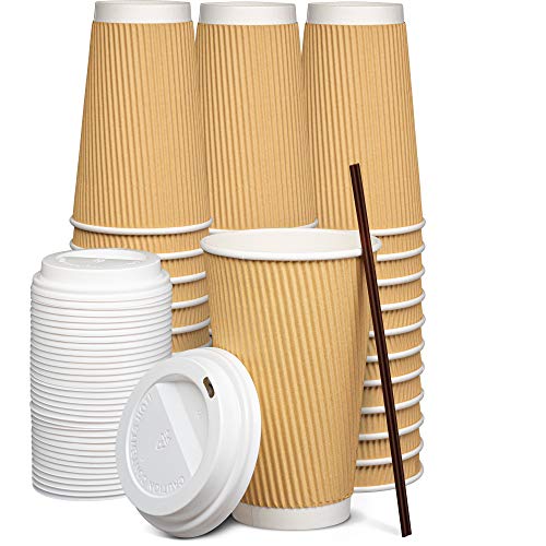 Insulated Ripple Paper Hot Coffee Cups With Lids