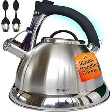 Whistling Tea Kettle with iCool - Handle