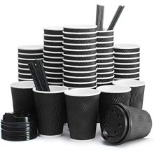Insulated Disposable Coffee Cups with Lids & Straws