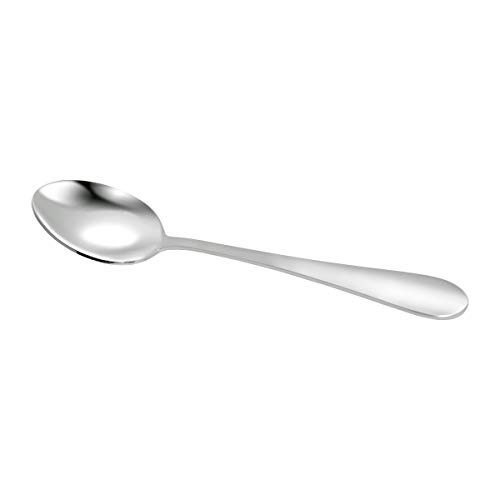 12 Pieces Stainless Steel Dessert Spoons