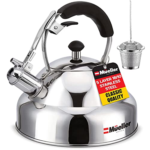 Only Culinary Grade Stainless Steel Teapot
