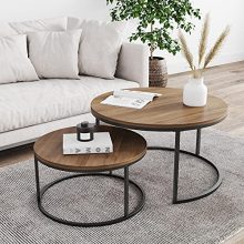 Round Modern Nesting Coffee Set of 2