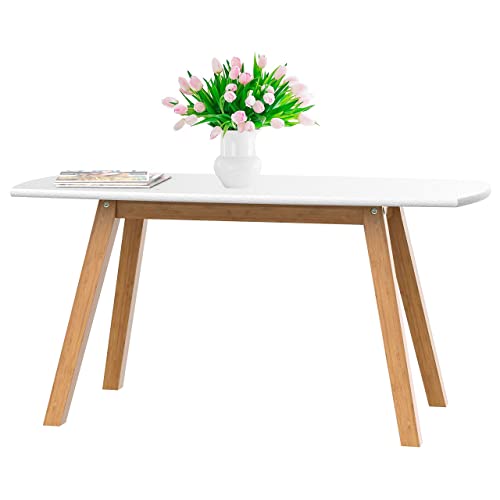 Maximize Style and Function with Franz Designer Low Table