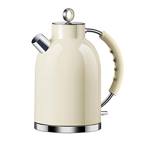 Fast Boiling Electric Tea Kettle