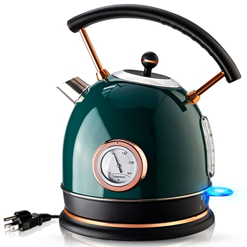Hot Water Kettle with Temperature Gauge