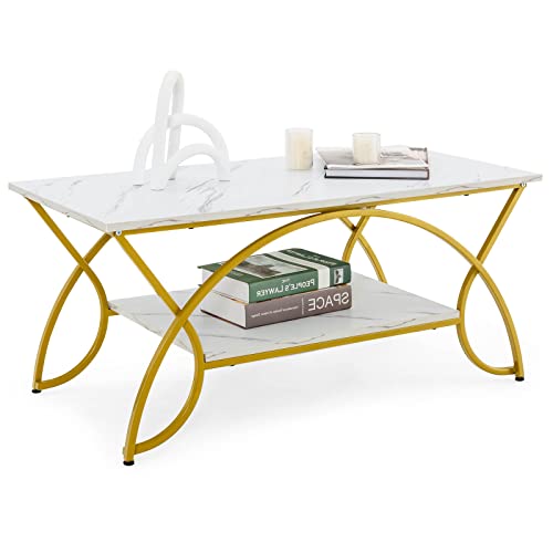 Modern Chic Coffee Table with Storage