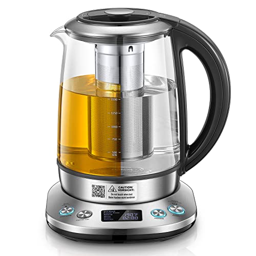 Electric Kettle with Temperature Control and Tea Infuser