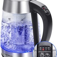 Temperature Control and Tea Kettle Infuser