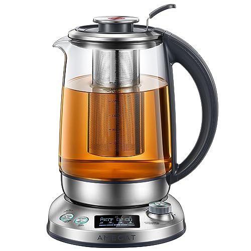 AMEGAT Electric Tea Kettle with Removable Infuser and Temperature Control - 1.7L Glass and Stainless Steel Tea Maker