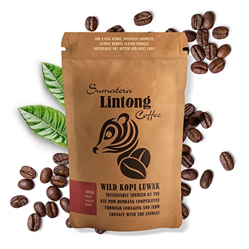 Wild Kopi Luwak Coffee - Sumatra’s Finest, Packed in a 100g Bag, the World’s Most Exclusive Coffee Beans